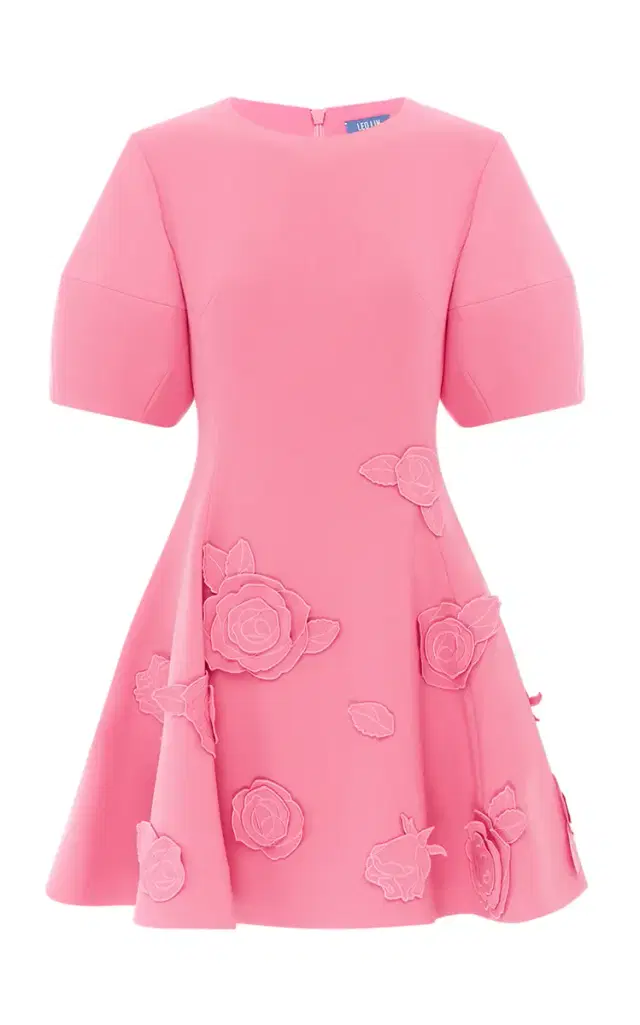 Simona Appliquéd Mini Dress