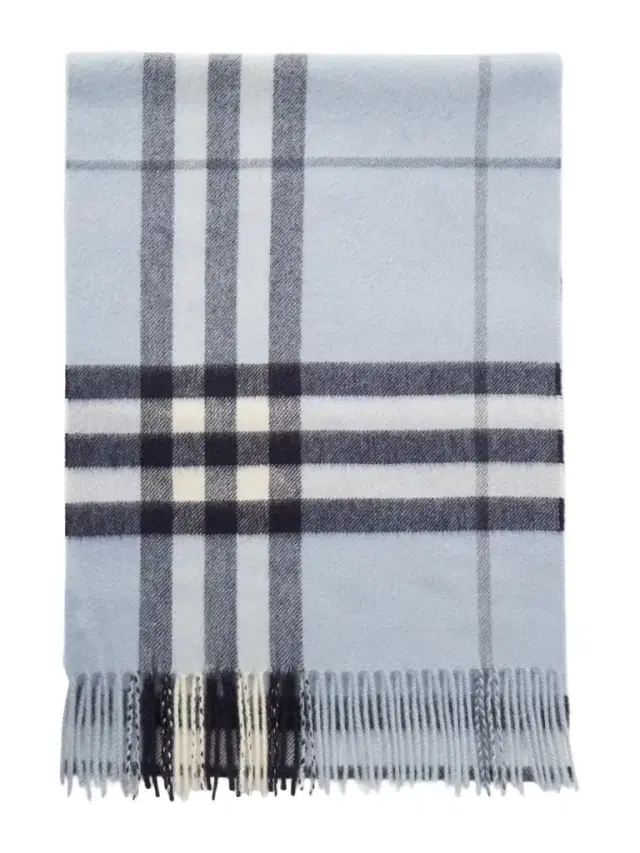 Burberry Fringed Checked Cashmere Scarf