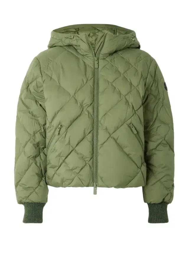 Hooded Appliquéd Leather-trimmed Padded Quilted Shell Down Jacket