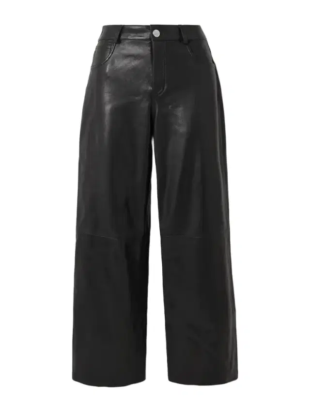 Milo Paneled Leather Wide-leg Pants