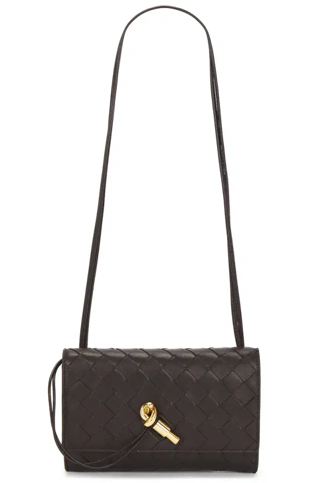 Bottega Veneta Andiamo Slim Pouch on Strap Bag