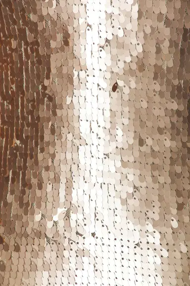 SEV V-Back Sculpted Sequin Dress | Thumbnail 5