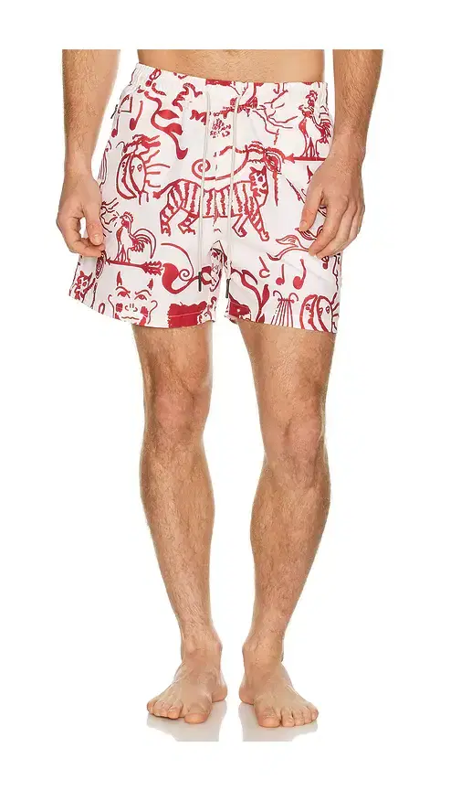 Arcano Swim Shorts