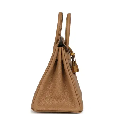 HERMÈS Hermes Birkin 25 Chai Togo Gold Hardware | Thumbnail 3 HERMÈS Hermes Birkin 25 Chai Togo Gold Hardware | Thumbnail 3