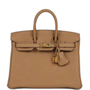 HERMÈS Hermes Birkin 25 Chai Togo Gold Hardware | Thumbnail 1 HERMÈS Hermes Birkin 25 Chai Togo Gold Hardware | Thumbnail 1