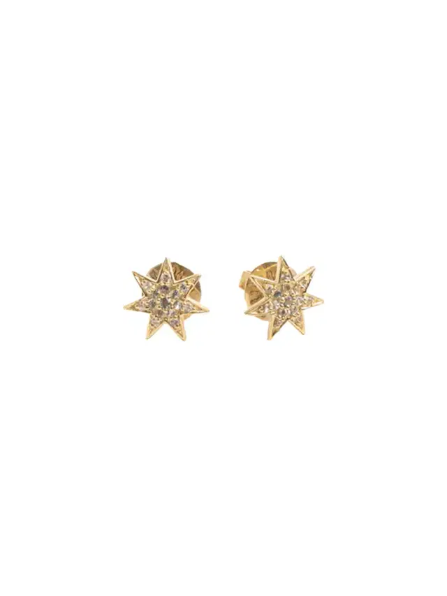 Surya and the Moon Small Surya Star Earrings
