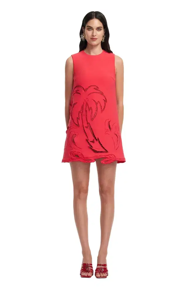 Yvonne Appliquéd Mini Dress