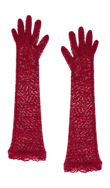 Beaufille Stretch Lace Elbow Gloves | Thumbnail 1 Beaufille Stretch Lace Elbow Gloves | Thumbnail 1
