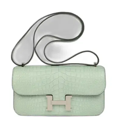 HERMÈS Hermes Constance Elan Vert D'Eau Matte Alligator Palladium Hardware | Thumbnail 1 HERMÈS Hermes Constance Elan Vert D'Eau Matte Alligator Palladium Hardware | Thumbnail 1