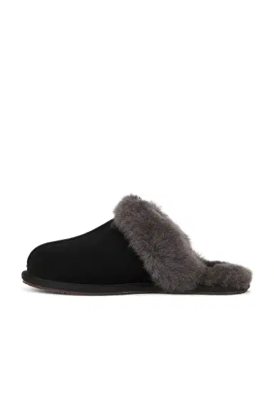 UGG Scuffette II Slipper | Thumbnail 5 UGG Scuffette II Slipper | Thumbnail 5