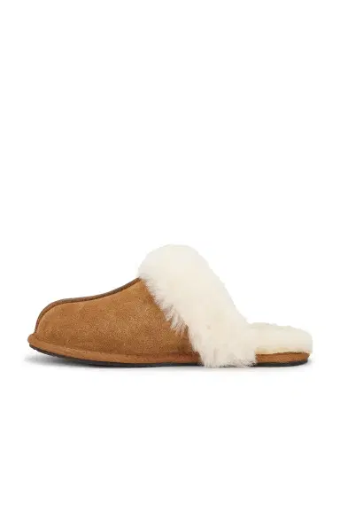 UGG Scuffette II Slipper | Thumbnail 5 UGG Scuffette II Slipper | Thumbnail 5