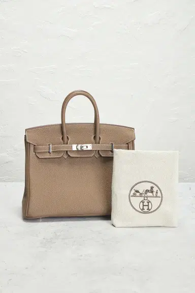 HERMÈS Togo Birkin 25 Handbag | Thumbnail 11