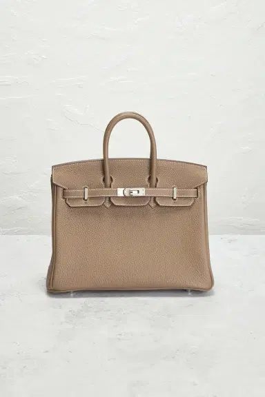 HERMÈS Togo Birkin 25 Handbag | Thumbnail 4