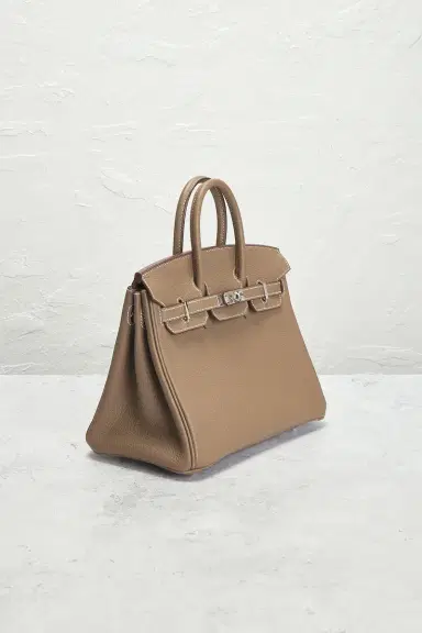 HERMÈS Togo Birkin 25 Handbag | Thumbnail 6