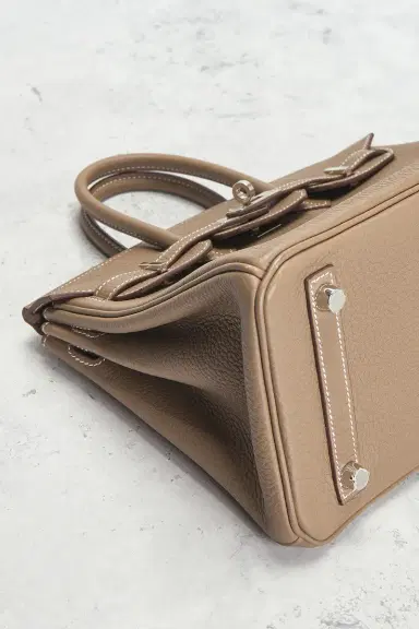 HERMÈS Togo Birkin 25 Handbag | Thumbnail 9