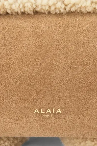 Alaïa Medium Teckel Bag | Thumbnail 5