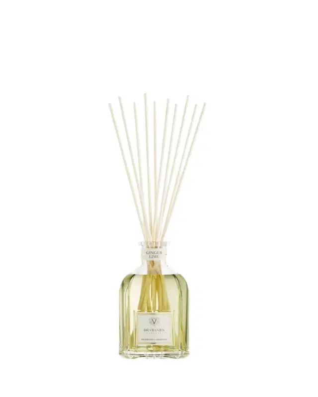 Dr. Vranjes Firenze Ginger Lime Glass Bottle Home Fragrance, 8.5 oz.