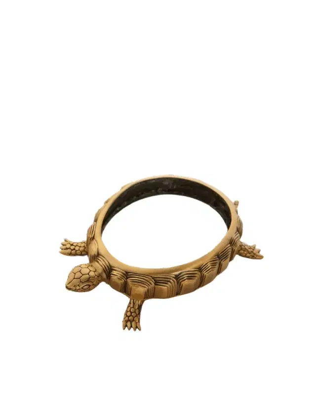 L 'Objet Turtle Magnifying Glass