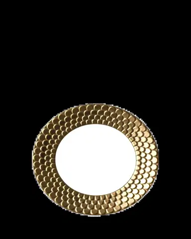 L'Objet Aegean Gold Dinner Plate | Thumbnail 2