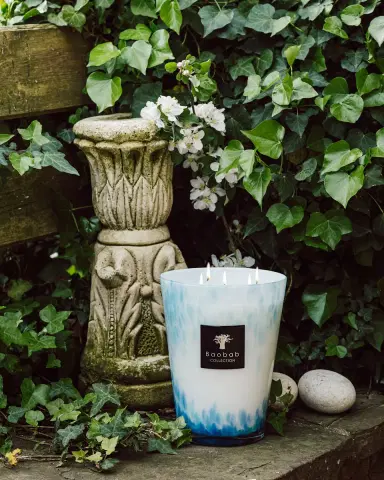 Baobab Collection Max 24 Eden Seaside Scented Candle | Thumbnail 2