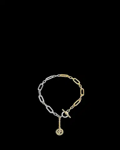 ben-amun Two-Tone Chain Link Necklace | Thumbnail 2 ben-amun Two-Tone Chain Link Necklace | Thumbnail 2