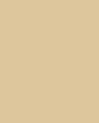 ben-amun Two-Tone Chain Link Necklace | Thumbnail 3 ben-amun Two-Tone Chain Link Necklace | Thumbnail 3