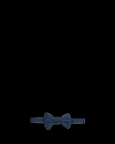 Charvet Men's Silk Bow Tie | Thumbnail 2