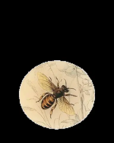 John Derian Honey Bee 5.8" Decorative Plate | Thumbnail 2