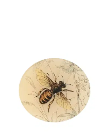 John Derian Honey Bee 5.8" Decorative Plate | Thumbnail 1