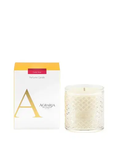 Agraria 7 oz. Cedar Rose Perfume Candle | Thumbnail 1