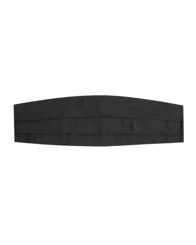 Charvet Men's Satin Pleated Cummerbund