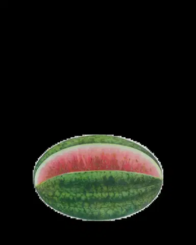 John Derian Watermelon Decorative Oval Tray | Thumbnail 2