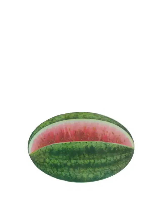 John Derian Watermelon Decorative Oval Tray