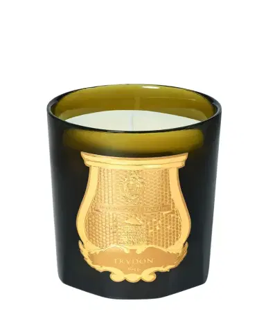 Trudon Solis Rex Classic Candle - Versailles'Wooden Floors, 9.5 oz. | Thumbnail 1