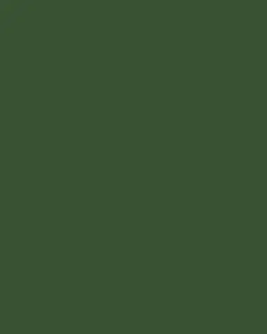 Bernardaud Green Fire Salad Plate | Thumbnail 2