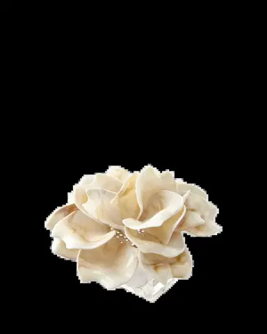 Kim Seybert Dahlia Napkin Ring | Thumbnail 2