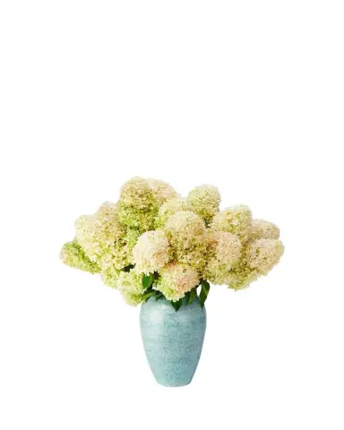 AERIN Calinda Tapered Vase | Thumbnail 1