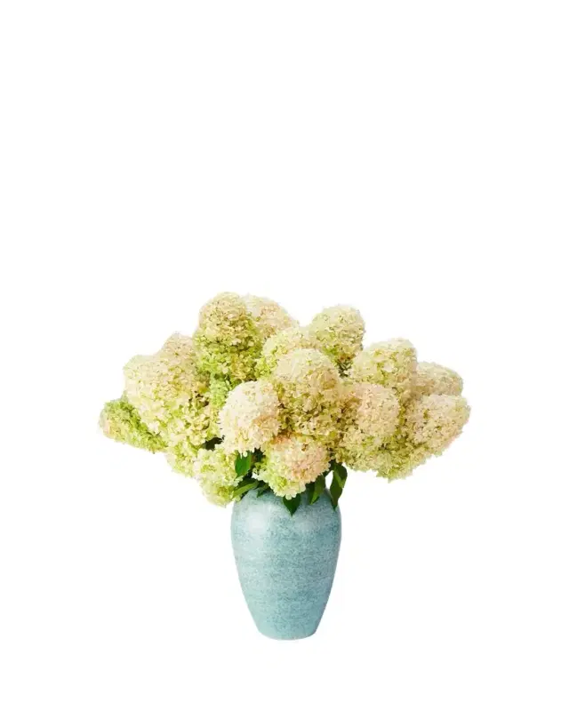 AERIN Calinda Tapered Vase