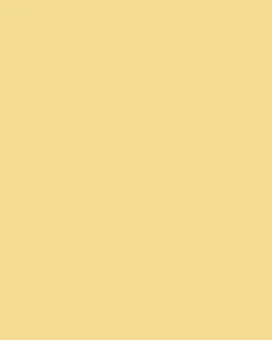 ben-amun Oval-Link Chain Necklace | Thumbnail 3