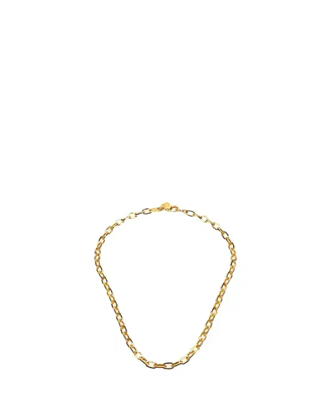 Ben-Amun Oval-Link Chain Necklace