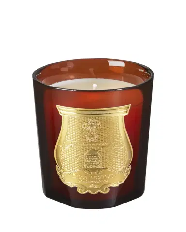Trudon Cire Classic Candle, Beeswax Absolute | Thumbnail 1 Trudon Cire Classic Candle, Beeswax Absolute | Thumbnail 1