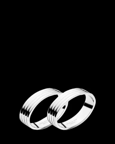 Georg Jensen Bernadotte 2-Piece Napkin Ring Set | Thumbnail 2