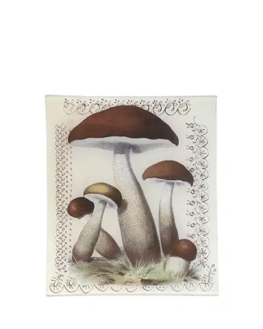 John Derian Mushroom With Lace Rectangular Tray | Thumbnail 1 John Derian Mushroom With Lace Rectangular Tray | Thumbnail 1