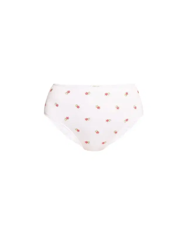 Whitney High-Rise Bikini Briefs