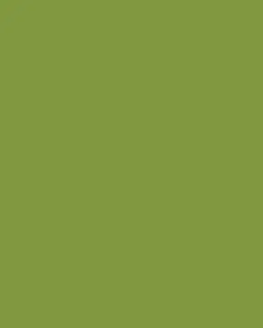 Ortigia Fico D India Square Tray | Thumbnail 3