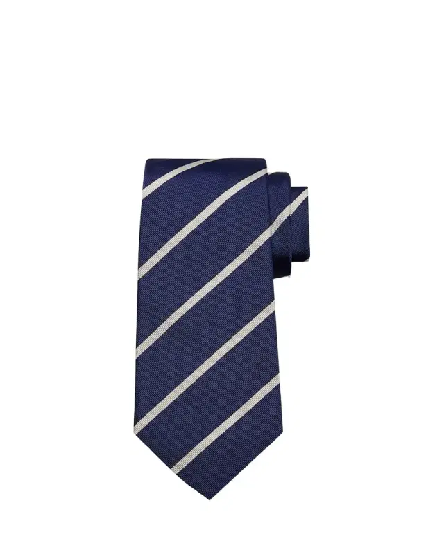 Men 's Diagonal Striped Silk Tie