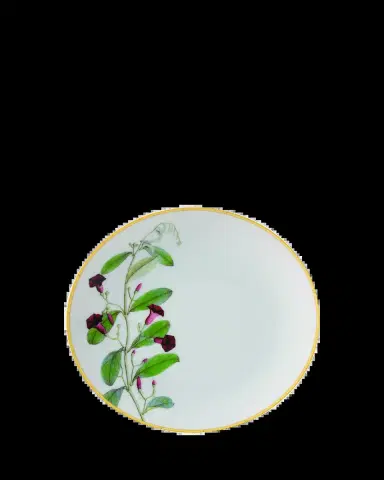 Bernardaud Jardin Indien Bread & Butter Plate | Thumbnail 2