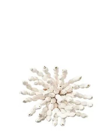 Kim Seybert REED NAPKIN RING | Thumbnail 1