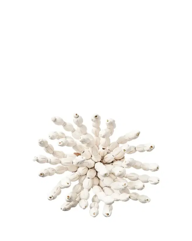 Kim Seybert REED NAPKIN RING