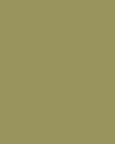The Cajun Turkey Co Savory Lima Beans, 64 oz. | Thumbnail 3